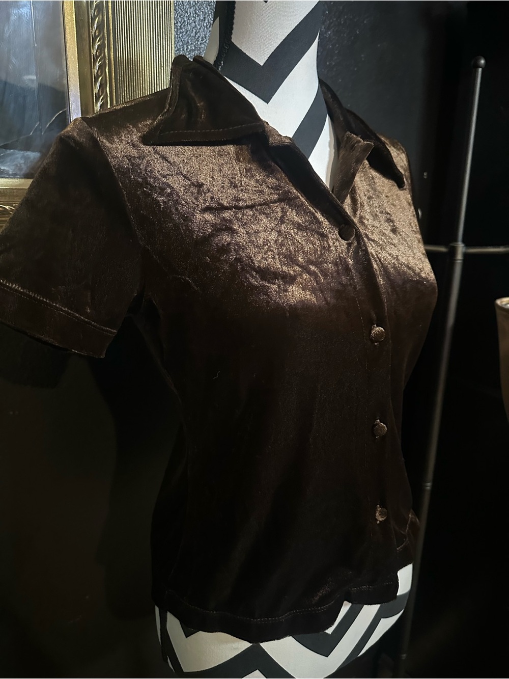 Velvet Short-Sleeve Button-Down Top - Dark Brown
